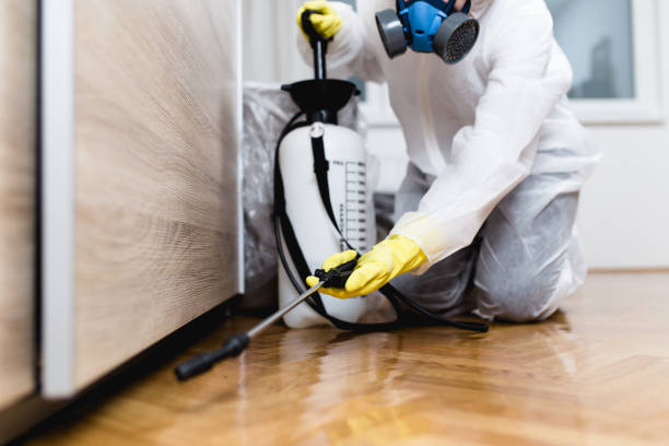 Best Emergency Pest Control  in Shelley, ID