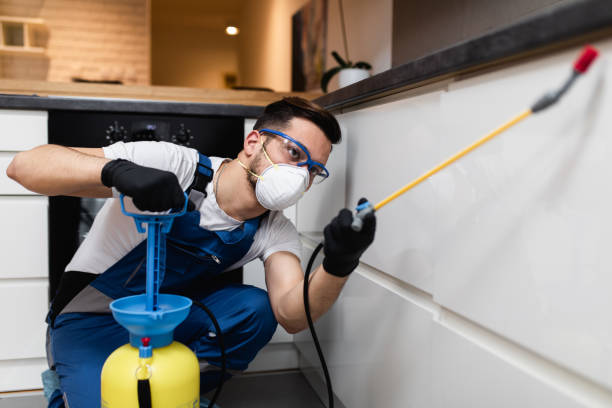 Best Wasp Removal Services  in Shelley, ID