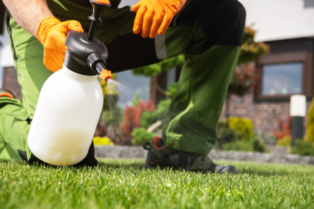 Best Residential Pest Control  in Shelley, ID