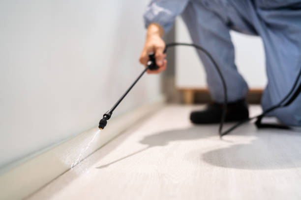 Pest Prevention Services in Shelley, ID