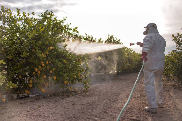 Best Exterminator Services  in Shelley, ID