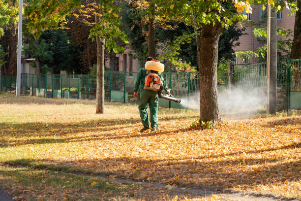 Best Mosquito Control Services  in Shelley, ID