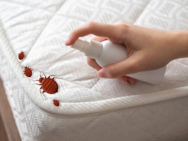Best Wildlife Control Services  in Shelley, ID