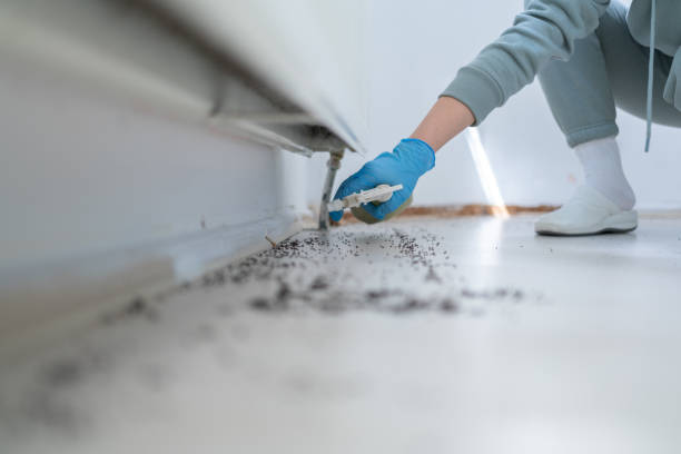 Best Pest Control for Businesses  in Shelley, ID