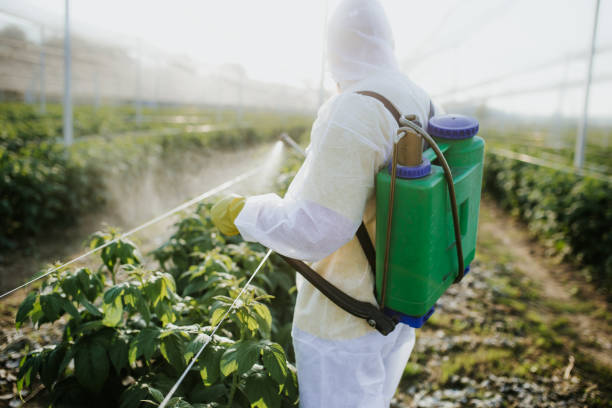 Best Affordable Pest Control Services  in Shelley, ID